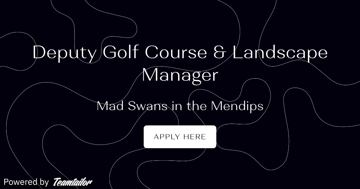 Mad Swans