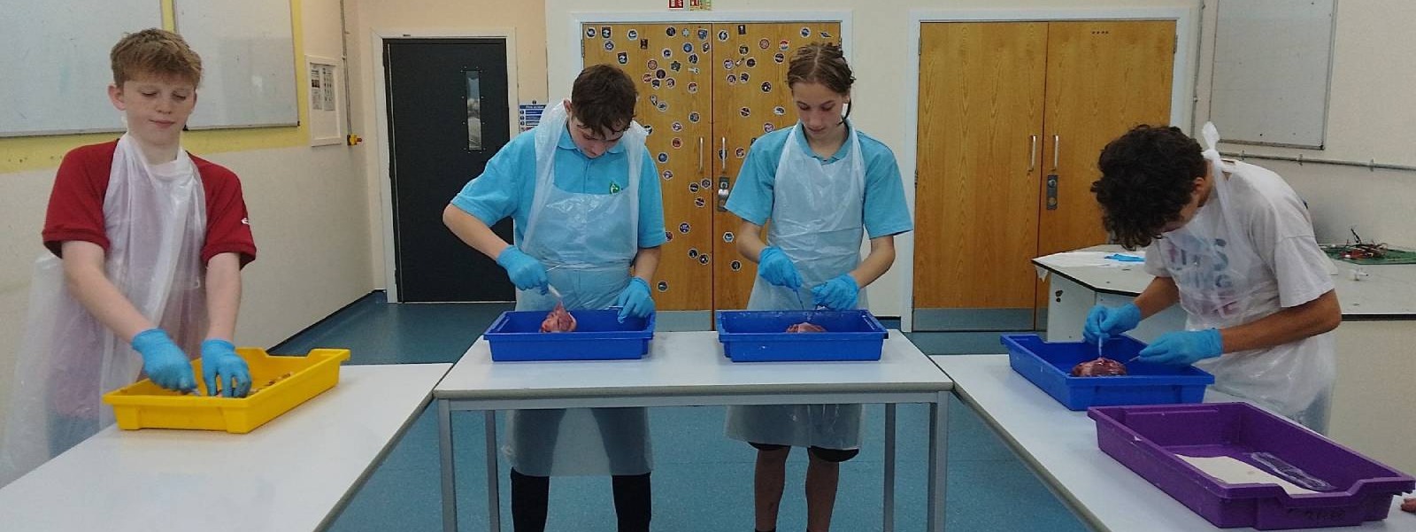 Brunel School Brunel School