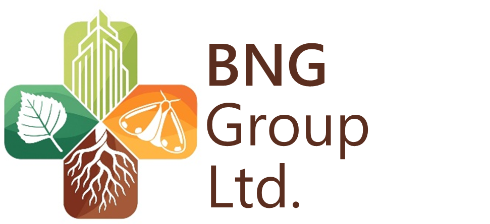 BNG Group Ltd